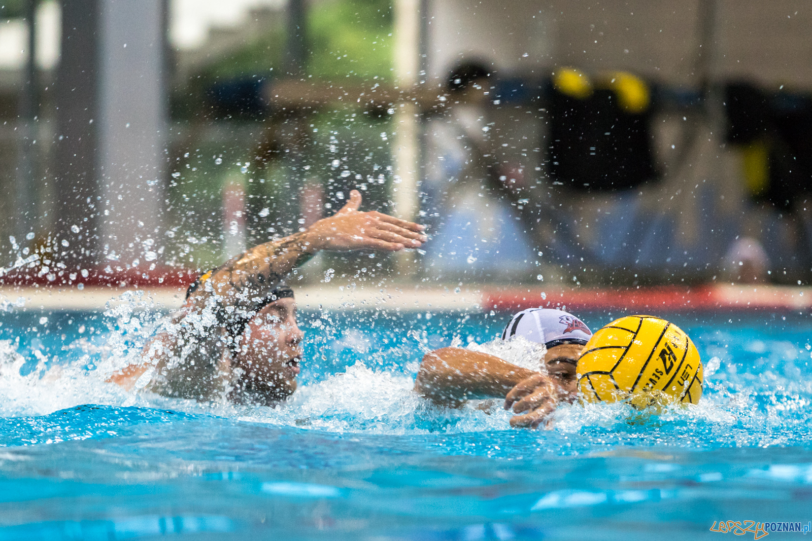 Waterpolo Cup 2019 - Hornets Koszyce - Alfa Gorzów Wielkopolski Foto: lepszyPOZNAN.pl/Piotr Rychter Waterpolo Cup 2019 - Hornets Koszyce - Alfa Gorzów Wielkopolski Foto: lepszyPOZNAN.pl/Piotr Rychter