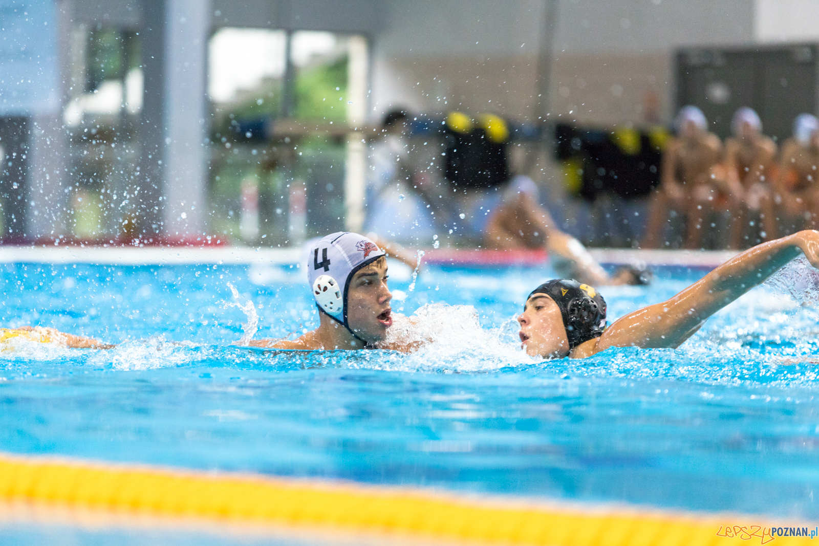 Waterpolo Cup 2019 - Hornets Koszyce - Alfa Gorzów Wielkopolski Foto: lepszyPOZNAN.pl/Piotr Rychter Waterpolo Cup 2019 - Hornets Koszyce - Alfa Gorzów Wielkopolski Foto: lepszyPOZNAN.pl/Piotr Rychter