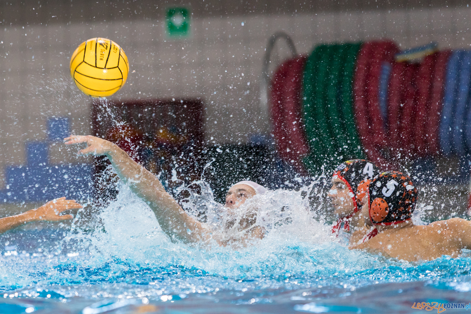 Waterpolo Cup 2019 - Alfa Gorzów Wielkopolski - KSZO Ostrowiec Foto: lepszyPOZNAN.pl/Piotr Rychter Waterpolo Cup 2019 - Alfa Gorzów Wielkopolski - KSZO Ostrowiec Foto: lepszyPOZNAN.pl/Piotr Rychter