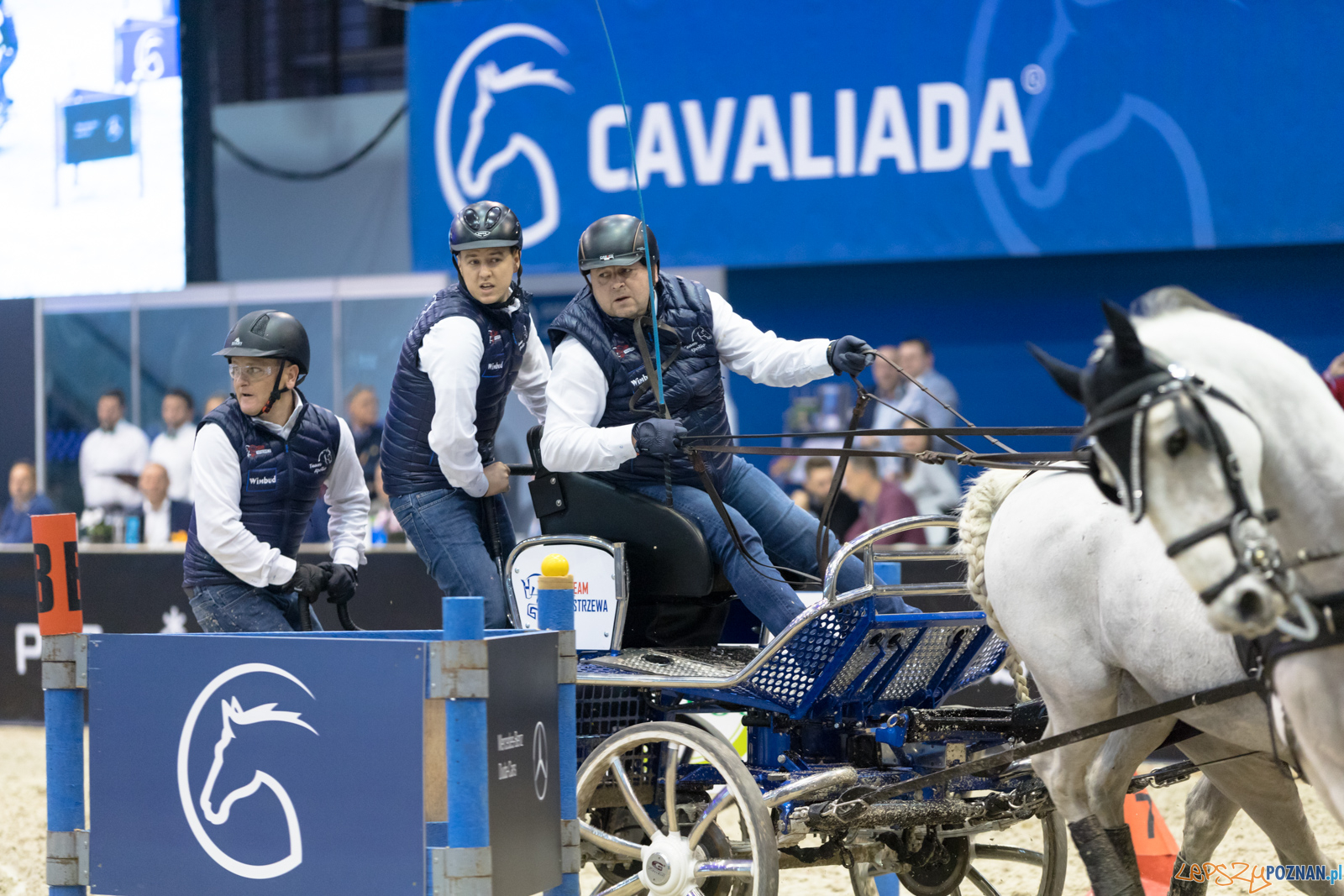 Cavaliada - Halowy Puchar Polski w Powożeniu Zaprzęgami Cztero Foto: lepszyPOZNAN.pl/Piotr Rychter Cavaliada - Halowy Puchar Polski w Powożeniu Zaprzęgami Cztero Foto: lepszyPOZNAN.pl/Piotr Rychter