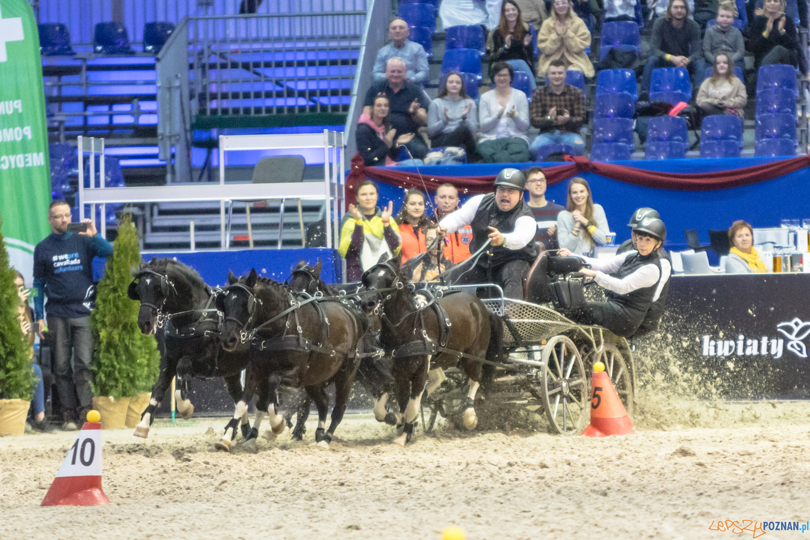 Cavaliada - Halowy Puchar Polski w Powożeniu Zaprzęgami Cztero Foto: lepszyPOZNAN.pl/Piotr Rychter Cavaliada - Halowy Puchar Polski w Powożeniu Zaprzęgami Cztero Foto: lepszyPOZNAN.pl/Piotr Rychter