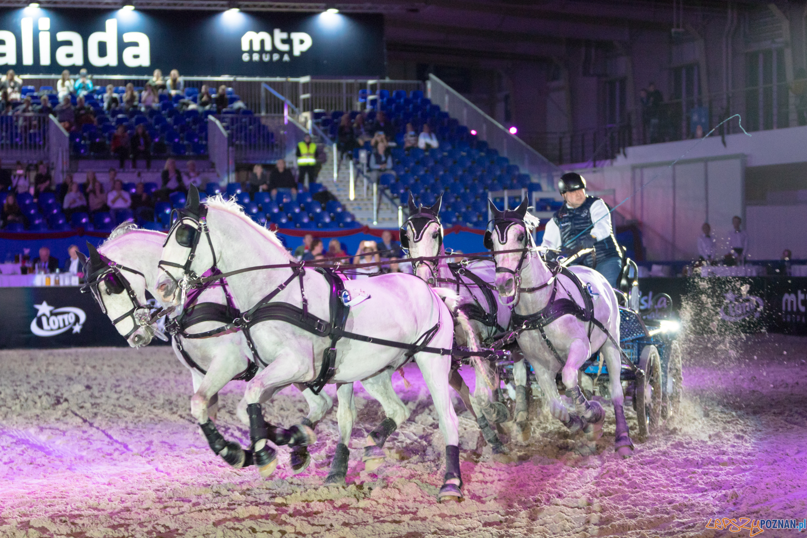 Cavaliada - Halowy Puchar Polski w Powożeniu Zaprzęgami Cztero Foto: lepszyPOZNAN.pl/Piotr Rychter Cavaliada - Halowy Puchar Polski w Powożeniu Zaprzęgami Cztero Foto: lepszyPOZNAN.pl/Piotr Rychter