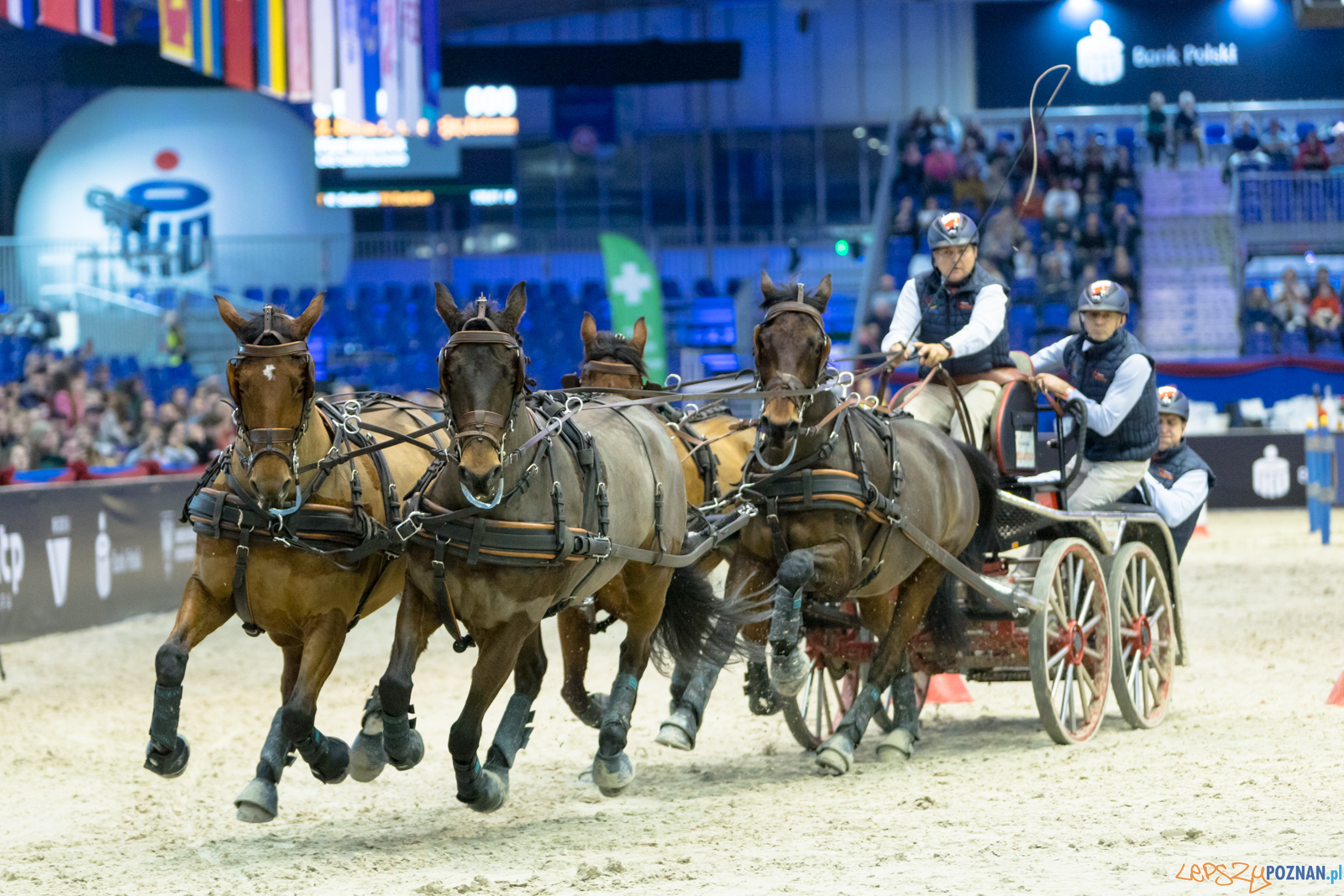 Cavaliada - Halowy Puchar Polski w Powożeniu Zaprzęgami Cztero Foto: lepszyPOZNAN.pl/Piotr Rychter Cavaliada - Halowy Puchar Polski w Powożeniu Zaprzęgami Cztero Foto: lepszyPOZNAN.pl/Piotr Rychter