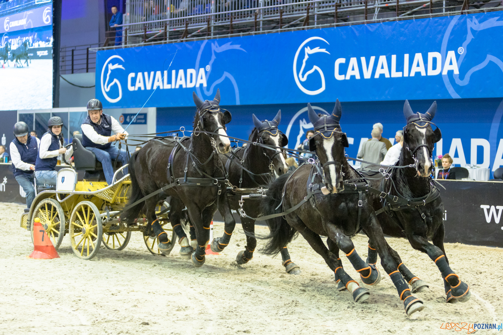 Cavaliada - Halowy Puchar Polski w Powożeniu Zaprzęgami Cztero Foto: lepszyPOZNAN.pl/Piotr Rychter Cavaliada - Halowy Puchar Polski w Powożeniu Zaprzęgami Cztero Foto: lepszyPOZNAN.pl/Piotr Rychter