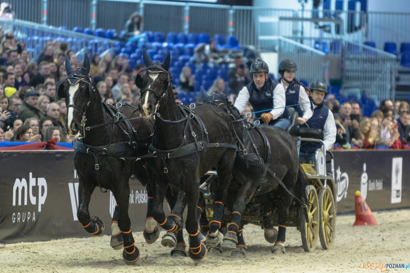 Cavaliada - Halowy Puchar Polski w Powożeniu Zaprzęgami Cztero Foto: lepszyPOZNAN.pl/Piotr Rychter Cavaliada - Halowy Puchar Polski w Powożeniu Zaprzęgami Cztero Foto: lepszyPOZNAN.pl/Piotr Rychter