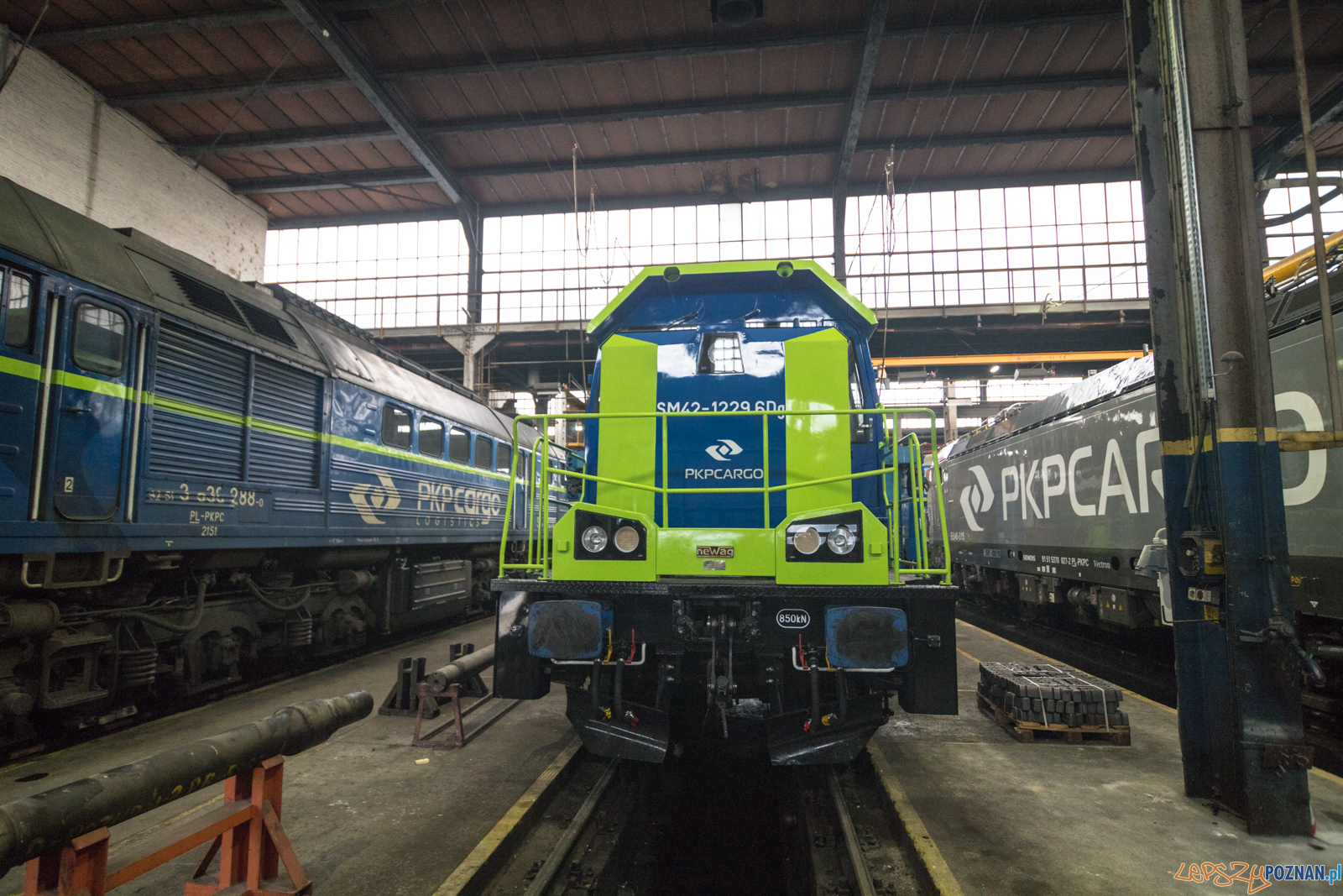 Katarzynki 2019 Foto: lepszyPOZNAN.pl/Piotr Rychter Katarzynki 2019 Foto: lepszyPOZNAN.pl/Piotr Rychter