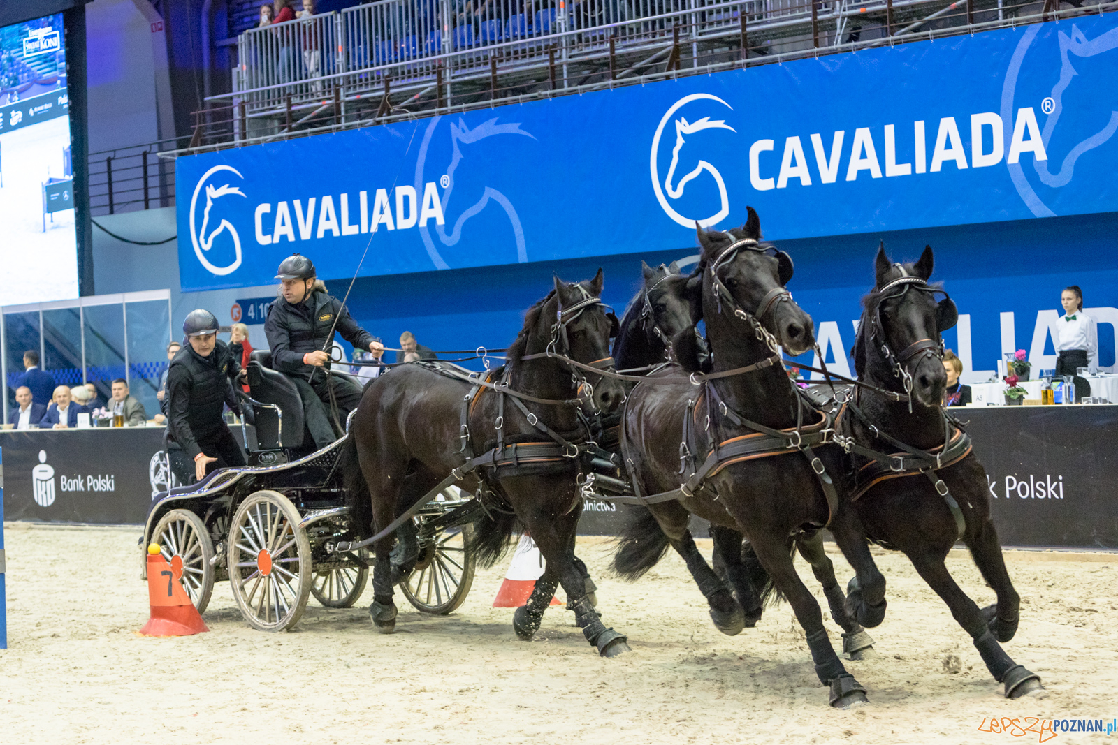 Cavaliada - Halowy Puchar Polski w Powożeniu Zaprzęgami Cztero Foto: lepszyPOZNAN.pl/Piotr Rychter Cavaliada - Halowy Puchar Polski w Powożeniu Zaprzęgami Cztero Foto: lepszyPOZNAN.pl/Piotr Rychter