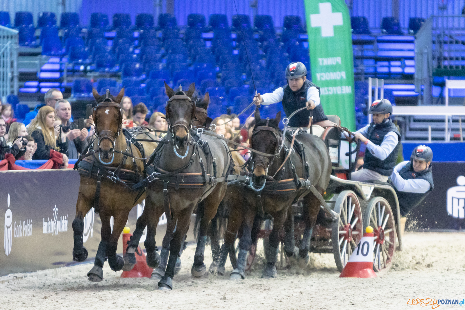 Cavaliada - Halowy Puchar Polski w Powożeniu Zaprzęgami Cztero Foto: lepszyPOZNAN.pl/Piotr Rychter Cavaliada - Halowy Puchar Polski w Powożeniu Zaprzęgami Cztero Foto: lepszyPOZNAN.pl/Piotr Rychter