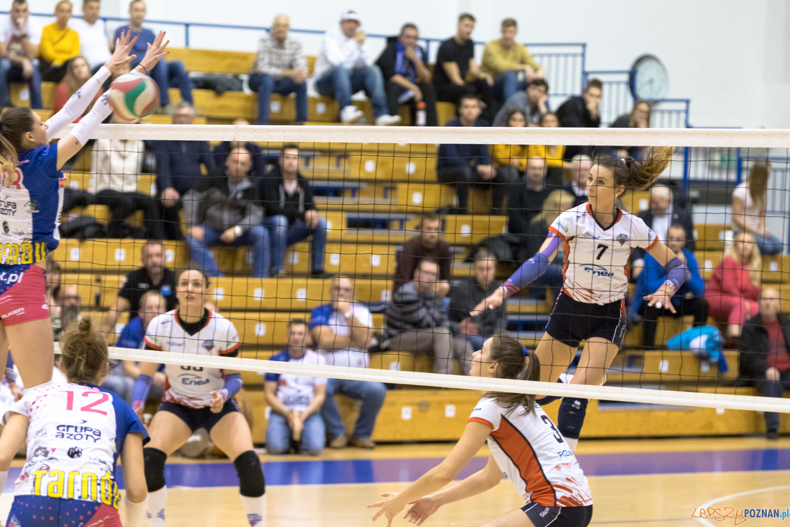 Betlejem Poznańskie Foto: lepszyPOZNAN.pl/Piotr Rychter Betlejem Poznańskie Foto: lepszyPOZNAN.pl/Piotr Rychter