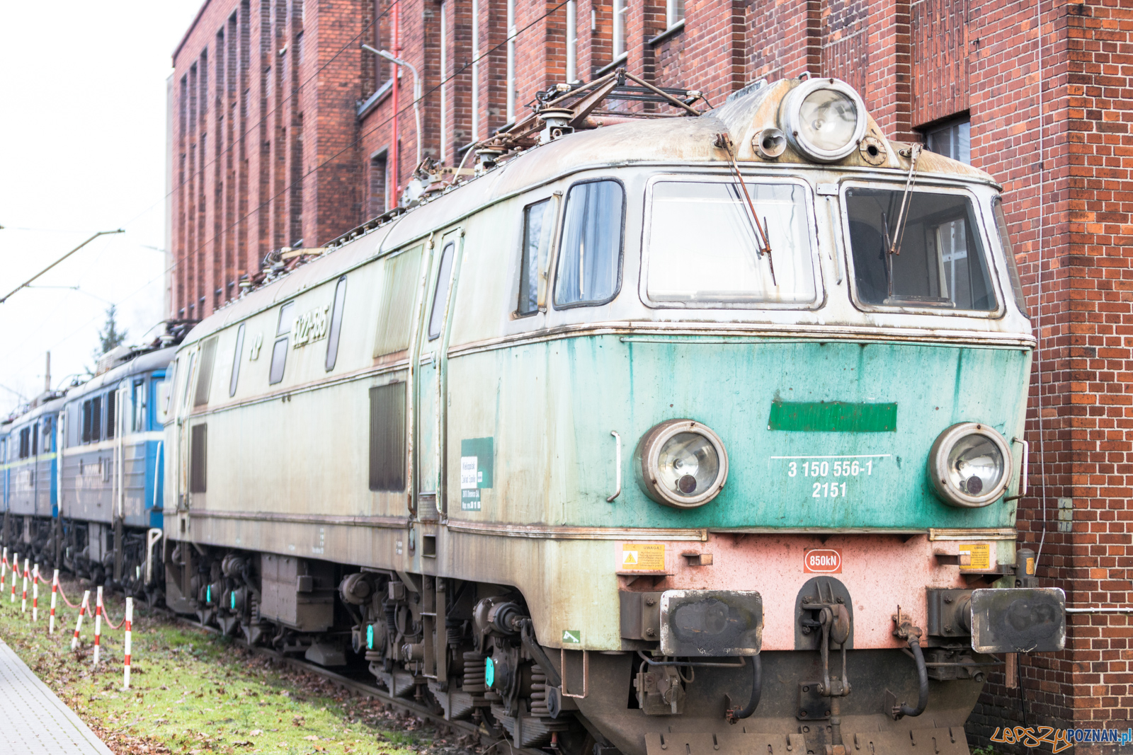 Katarzynki 2019 Foto: lepszyPOZNAN.pl/Piotr Rychter Katarzynki 2019 Foto: lepszyPOZNAN.pl/Piotr Rychter