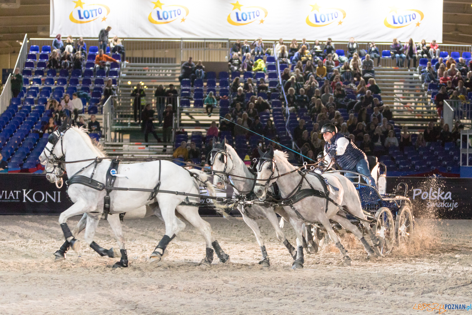 Cavaliada - Halowy Puchar Polski w Powożeniu Zaprzęgami Cztero Foto: lepszyPOZNAN.pl/Piotr Rychter Cavaliada - Halowy Puchar Polski w Powożeniu Zaprzęgami Cztero Foto: lepszyPOZNAN.pl/Piotr Rychter