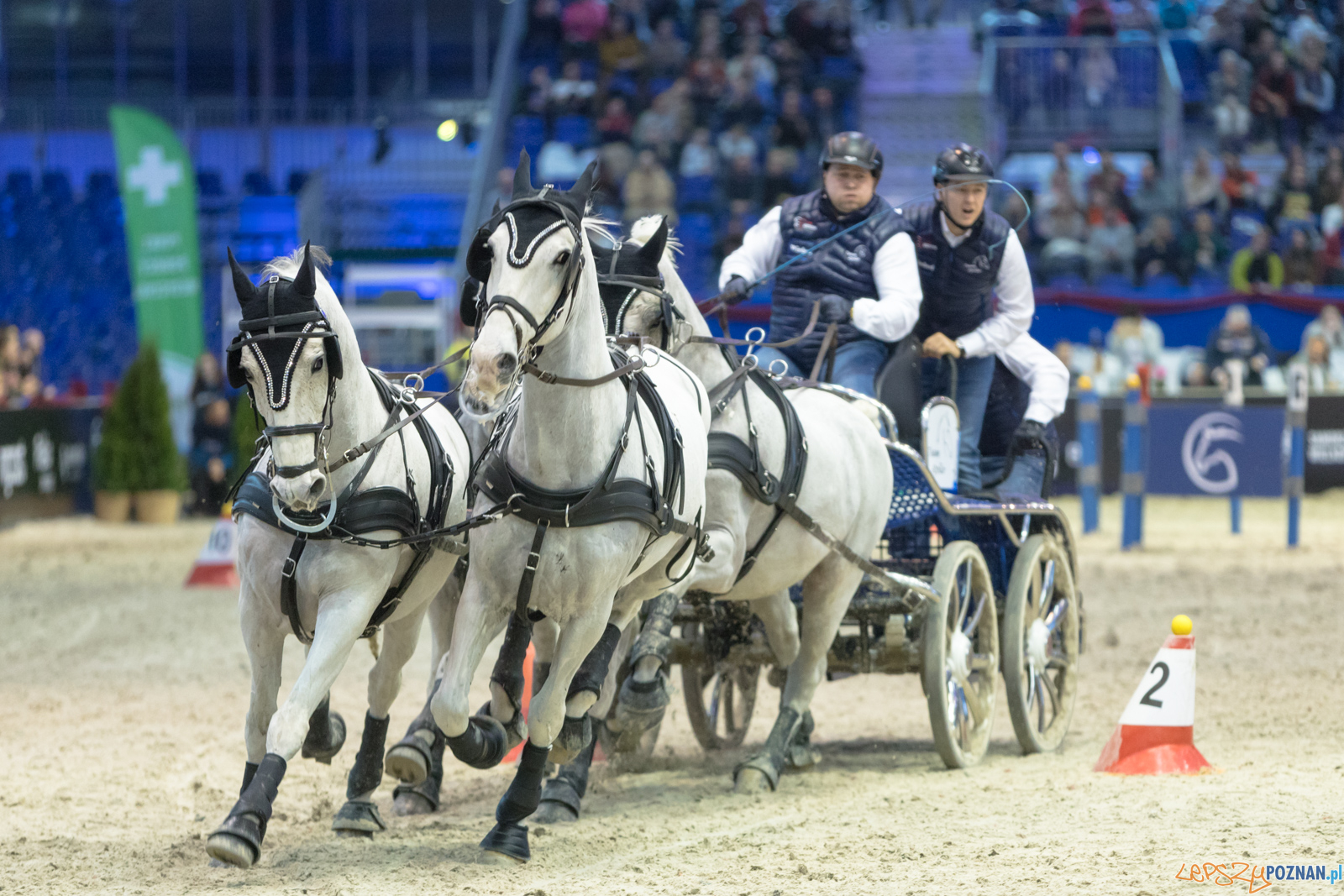 Cavaliada - Halowy Puchar Polski w Powożeniu Zaprzęgami Cztero Foto: lepszyPOZNAN.pl/Piotr Rychter Cavaliada - Halowy Puchar Polski w Powożeniu Zaprzęgami Cztero Foto: lepszyPOZNAN.pl/Piotr Rychter