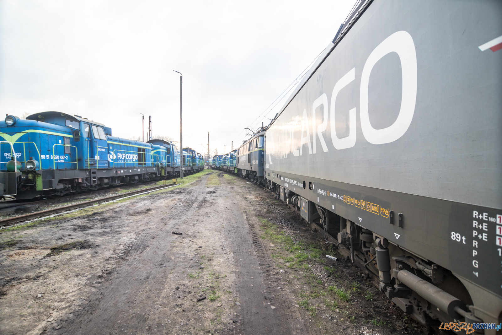 Katarzynki 2019 Foto: lepszyPOZNAN.pl/Piotr Rychter Katarzynki 2019 Foto: lepszyPOZNAN.pl/Piotr Rychter