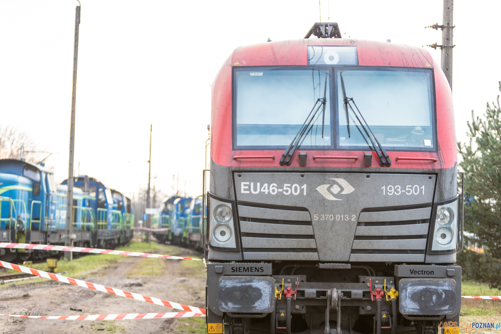 Katarzynki 2019 Foto: lepszyPOZNAN.pl/Piotr Rychter Katarzynki 2019 Foto: lepszyPOZNAN.pl/Piotr Rychter