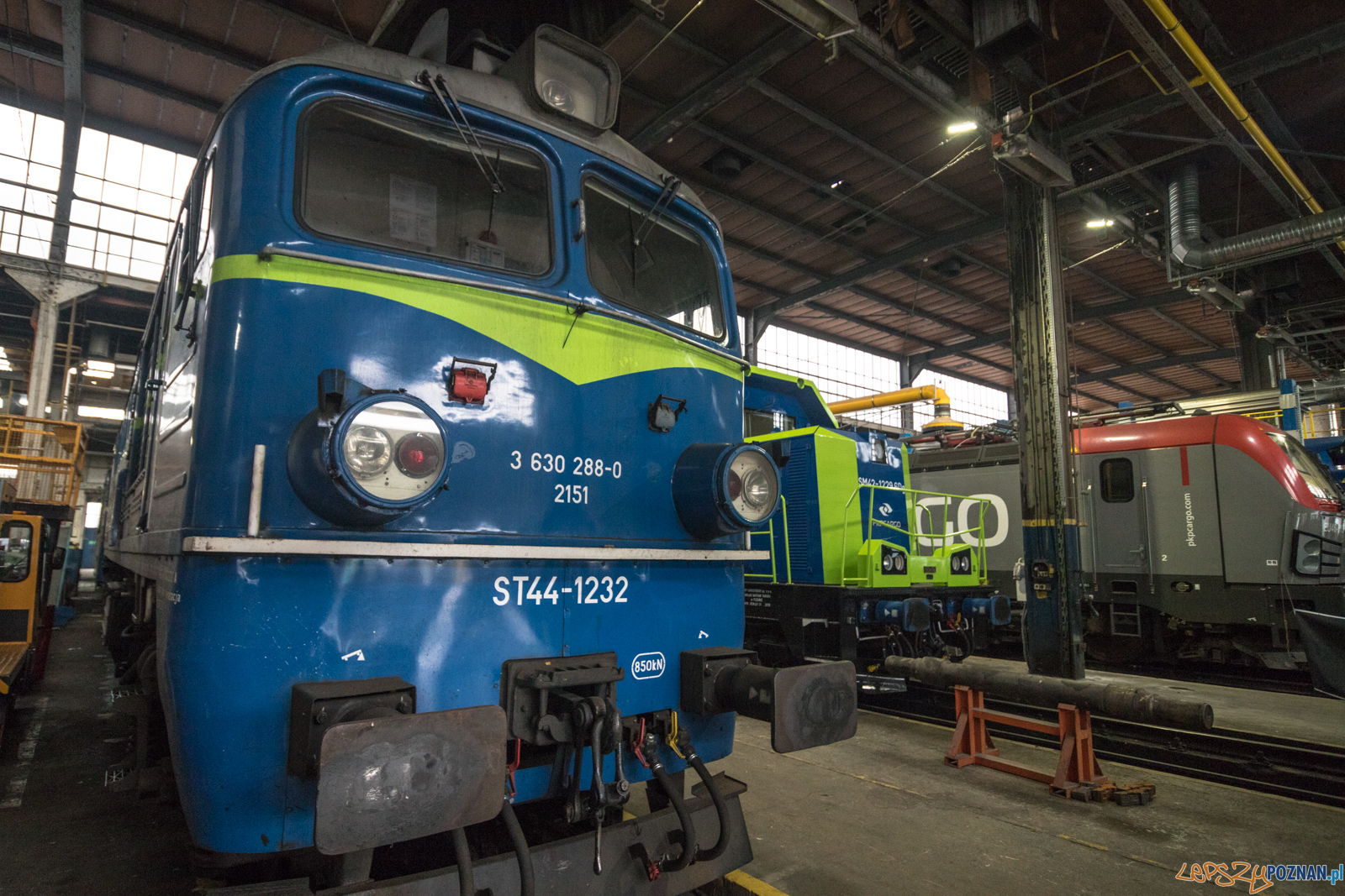 Katarzynki 2019 Foto: lepszyPOZNAN.pl/Piotr Rychter Katarzynki 2019 Foto: lepszyPOZNAN.pl/Piotr Rychter