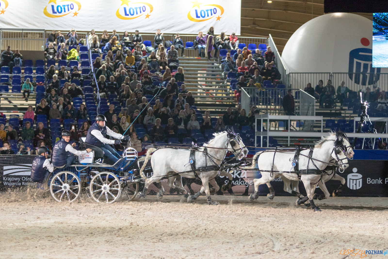 Cavaliada - Halowy Puchar Polski w Powożeniu Zaprzęgami Cztero Foto: lepszyPOZNAN.pl/Piotr Rychter Cavaliada - Halowy Puchar Polski w Powożeniu Zaprzęgami Cztero Foto: lepszyPOZNAN.pl/Piotr Rychter