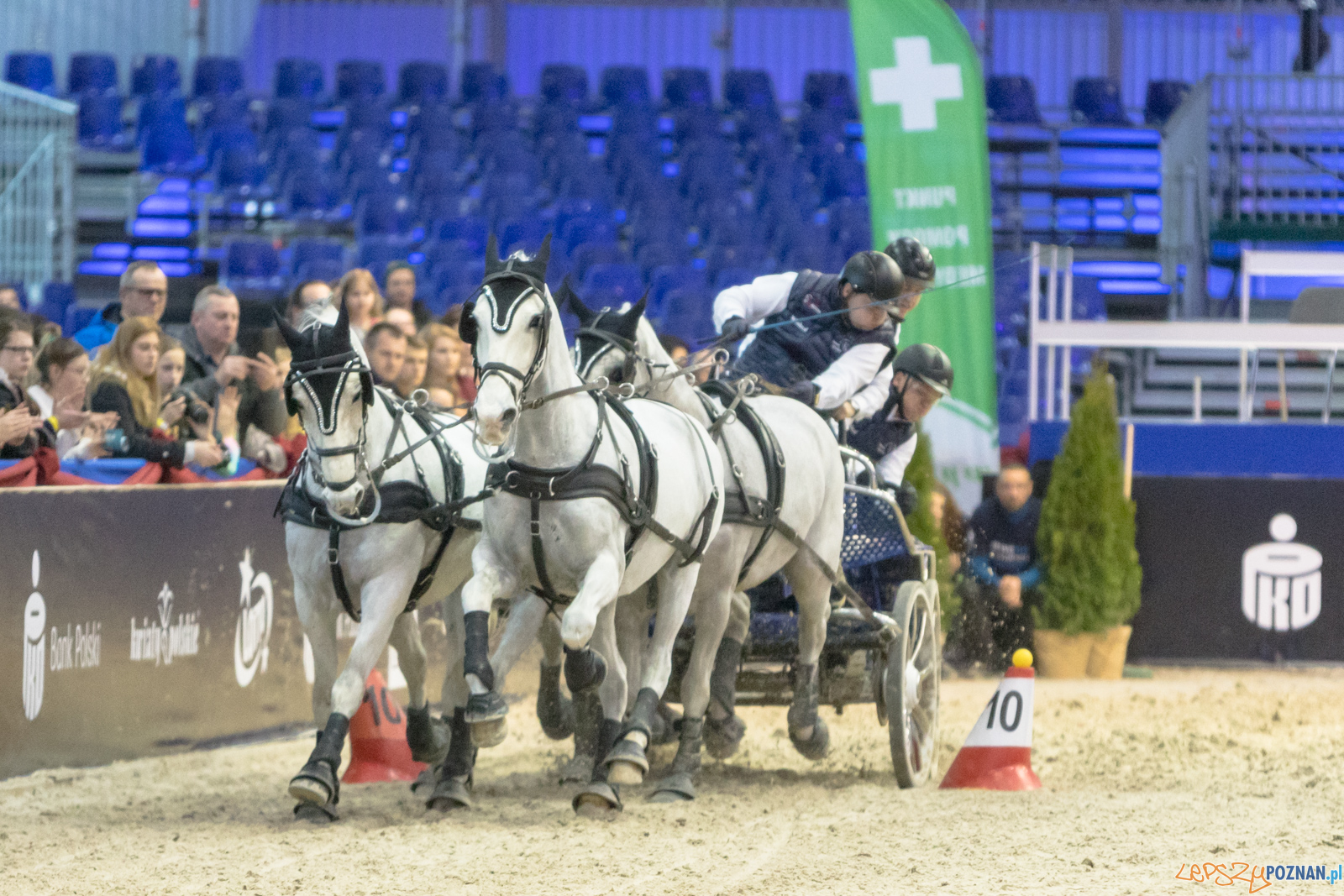 Cavaliada - Halowy Puchar Polski w Powożeniu Zaprzęgami Cztero Foto: lepszyPOZNAN.pl/Piotr Rychter Cavaliada - Halowy Puchar Polski w Powożeniu Zaprzęgami Cztero Foto: lepszyPOZNAN.pl/Piotr Rychter