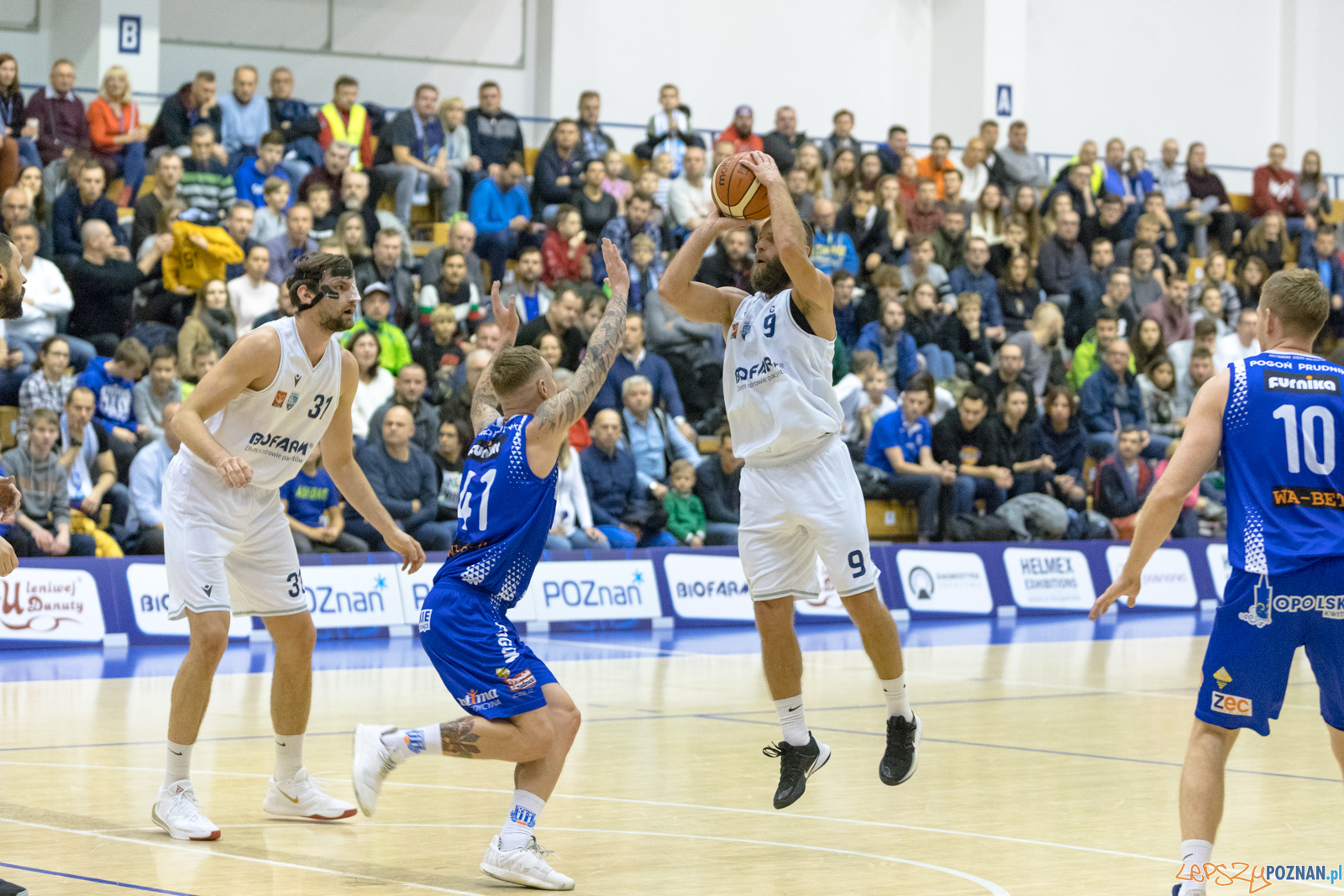 Biofarm Basket Poznań - Pogoń Prudnik Foto: lepszyPOZNAN.pl/Piotr Rychter Biofarm Basket Poznań - Pogoń Prudnik Foto: lepszyPOZNAN.pl/Piotr Rychter