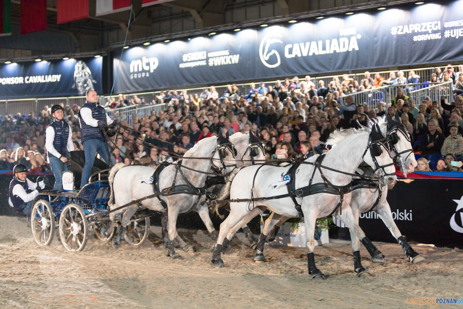 Cavaliada - Halowy Puchar Polski w Powożeniu Zaprzęgami Cztero Foto: lepszyPOZNAN.pl/Piotr Rychter Cavaliada - Halowy Puchar Polski w Powożeniu Zaprzęgami Cztero Foto: lepszyPOZNAN.pl/Piotr Rychter