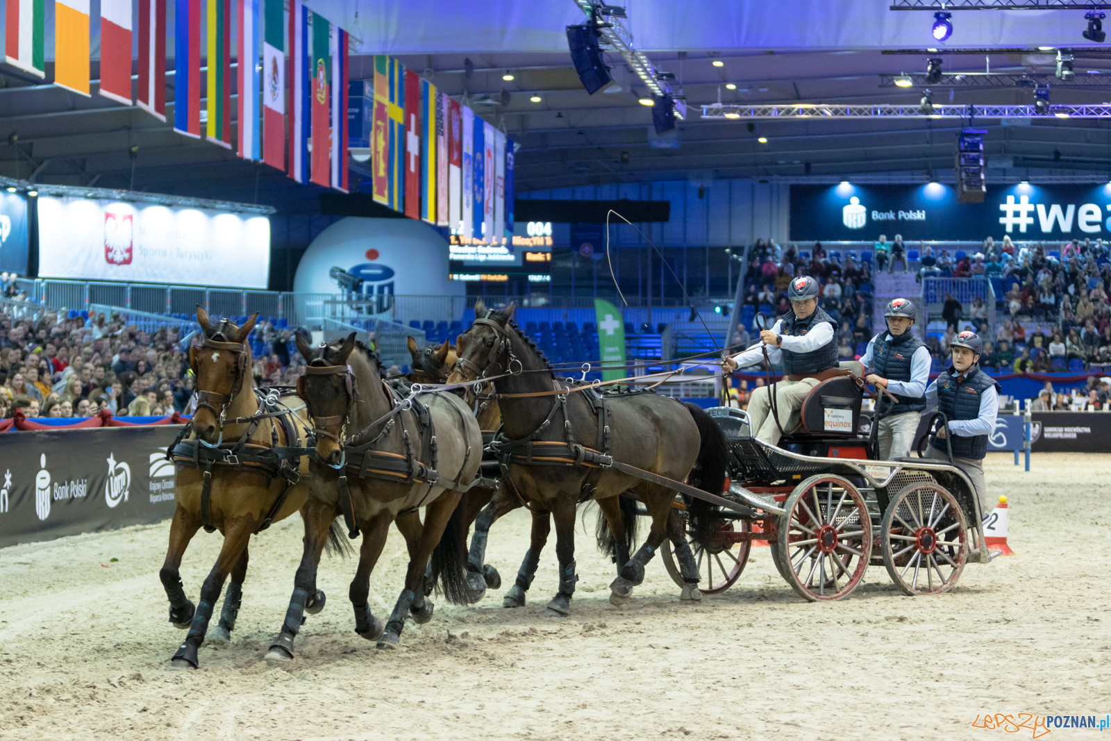Cavaliada - Halowy Puchar Polski w Powożeniu Zaprzęgami Cztero Foto: lepszyPOZNAN.pl/Piotr Rychter Cavaliada - Halowy Puchar Polski w Powożeniu Zaprzęgami Cztero Foto: lepszyPOZNAN.pl/Piotr Rychter