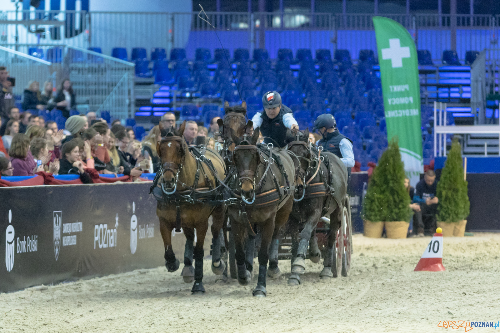 Cavaliada - Halowy Puchar Polski w Powożeniu Zaprzęgami Cztero Foto: lepszyPOZNAN.pl/Piotr Rychter Cavaliada - Halowy Puchar Polski w Powożeniu Zaprzęgami Cztero Foto: lepszyPOZNAN.pl/Piotr Rychter