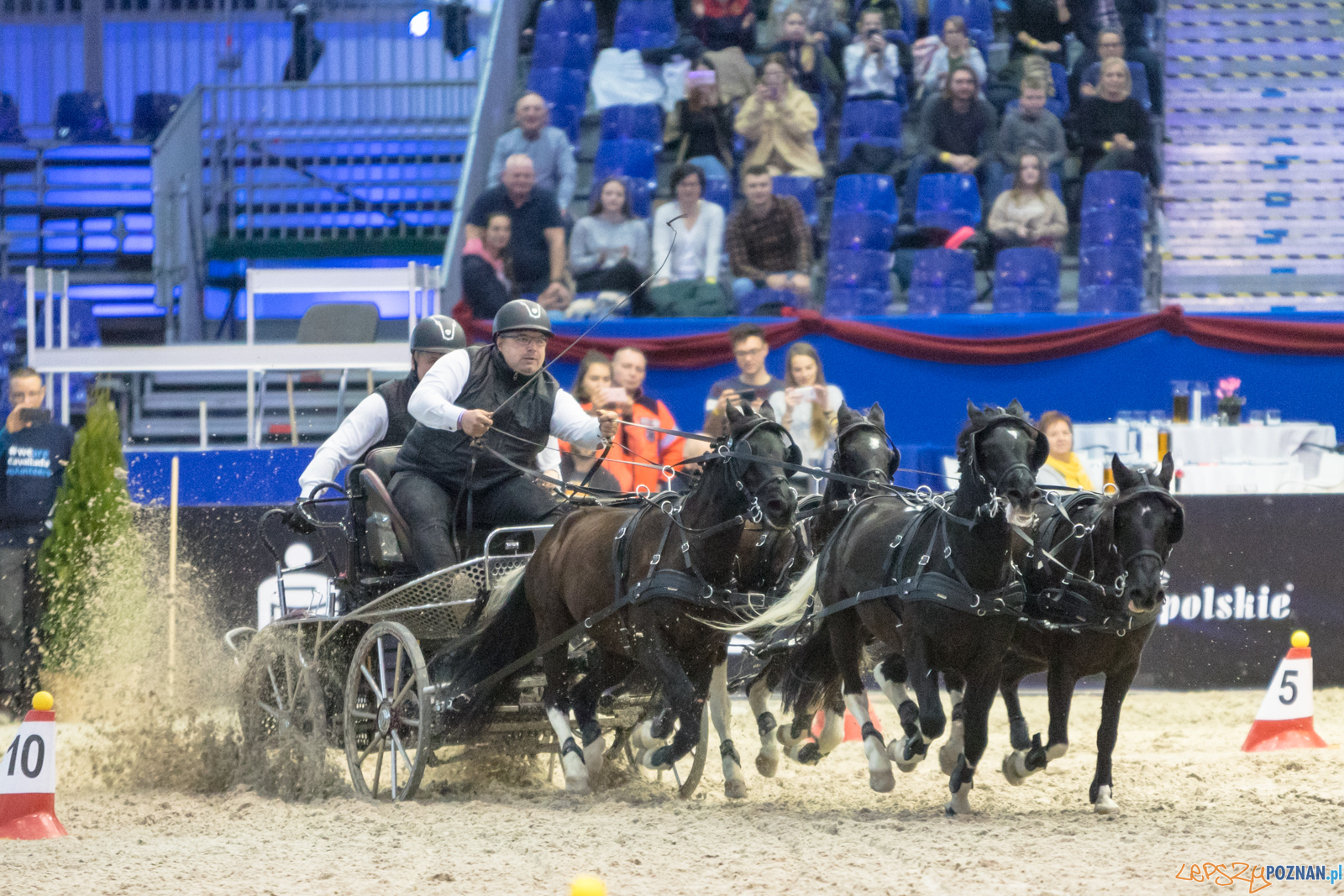Cavaliada - Halowy Puchar Polski w Powożeniu Zaprzęgami Cztero Foto: lepszyPOZNAN.pl/Piotr Rychter Cavaliada - Halowy Puchar Polski w Powożeniu Zaprzęgami Cztero Foto: lepszyPOZNAN.pl/Piotr Rychter