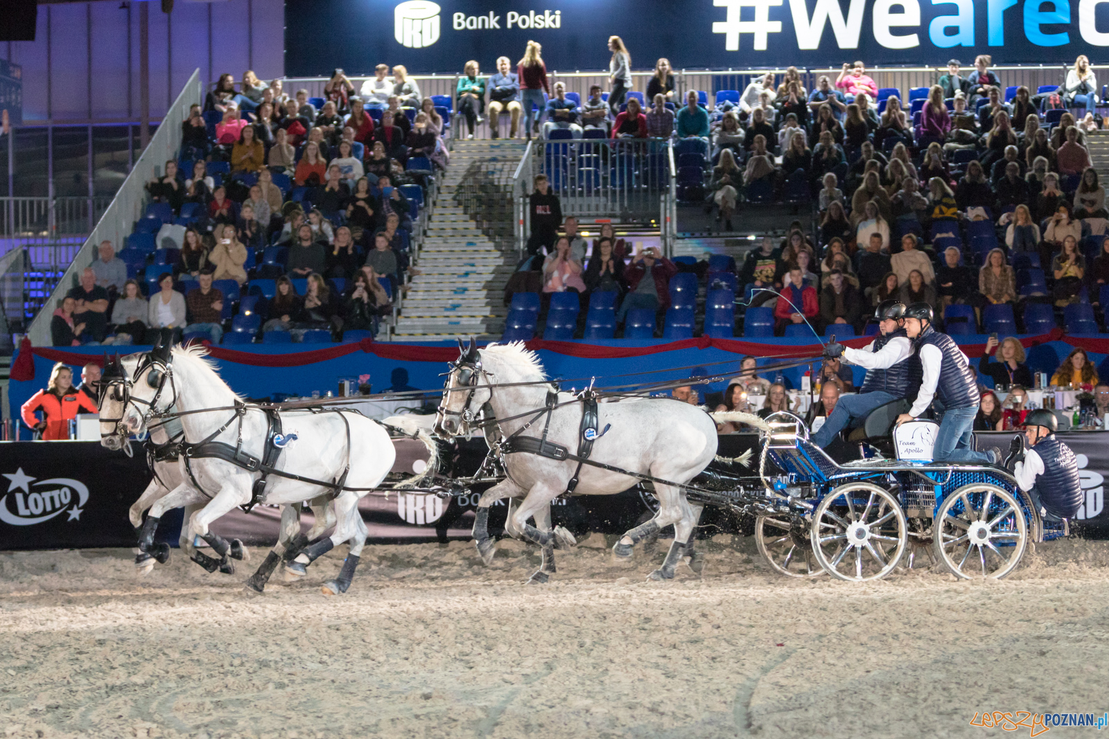 Cavaliada - Halowy Puchar Polski w Powożeniu Zaprzęgami Cztero Foto: lepszyPOZNAN.pl/Piotr Rychter Cavaliada - Halowy Puchar Polski w Powożeniu Zaprzęgami Cztero Foto: lepszyPOZNAN.pl/Piotr Rychter