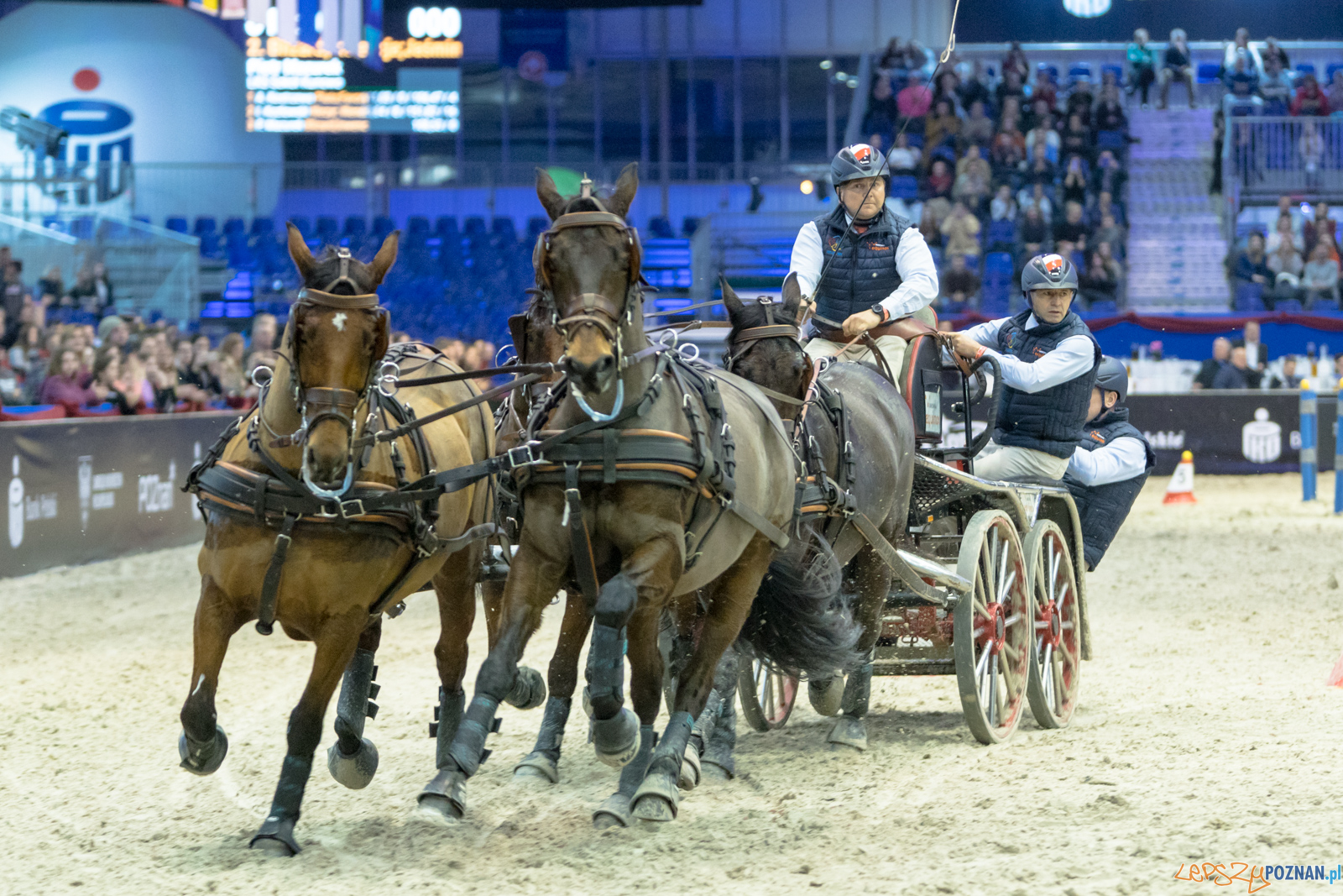 Cavaliada - Halowy Puchar Polski w Powożeniu Zaprzęgami Cztero Foto: lepszyPOZNAN.pl/Piotr Rychter Cavaliada - Halowy Puchar Polski w Powożeniu Zaprzęgami Cztero Foto: lepszyPOZNAN.pl/Piotr Rychter