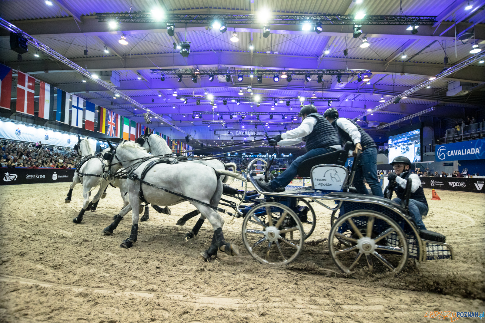 Cavaliada - Halowy Puchar Polski w Powożeniu Zaprzęgami Cztero Foto: lepszyPOZNAN.pl/Piotr Rychter Cavaliada - Halowy Puchar Polski w Powożeniu Zaprzęgami Cztero Foto: lepszyPOZNAN.pl/Piotr Rychter