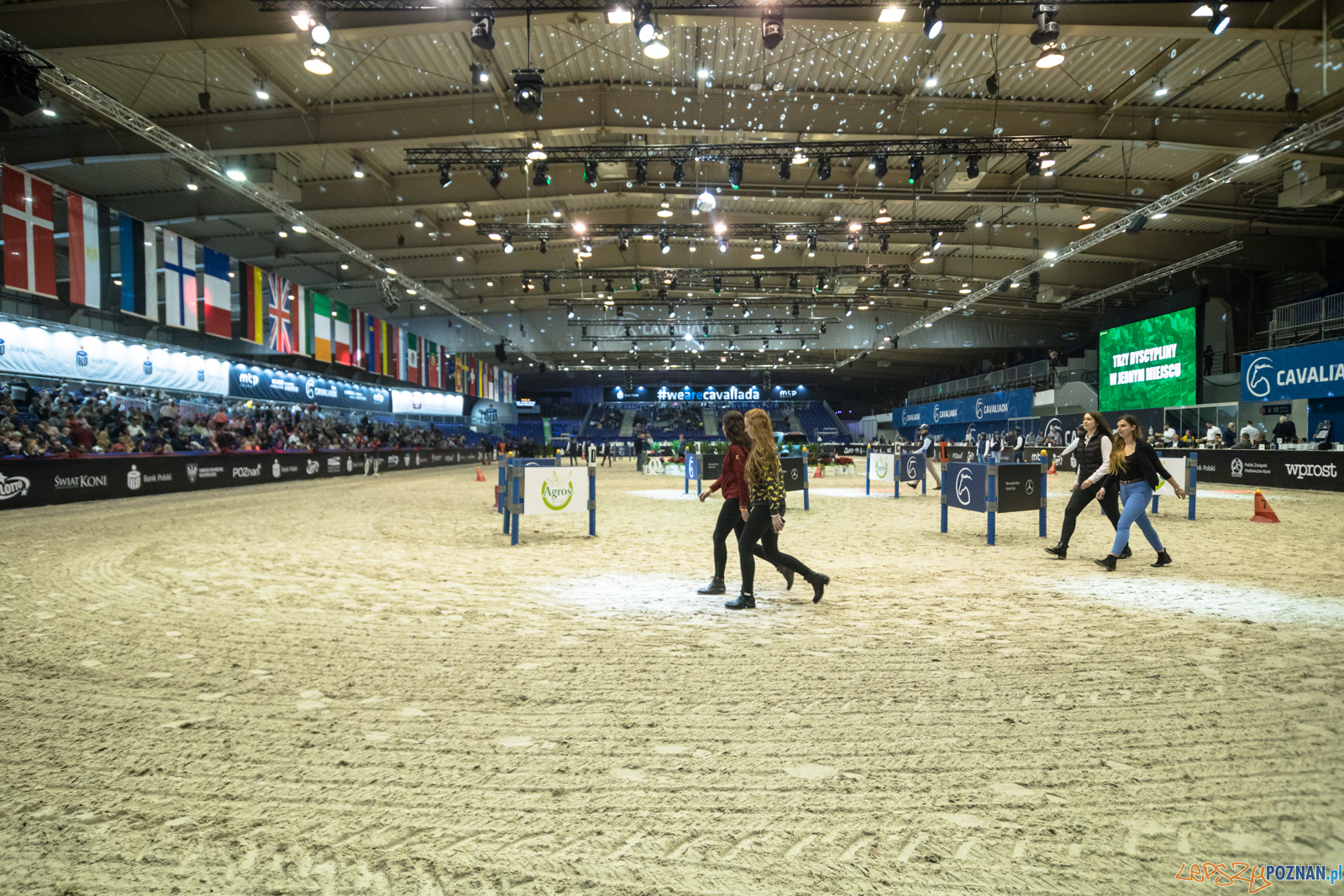 Cavaliada - Halowy Puchar Polski w Powożeniu Zaprzęgami Cztero Foto: lepszyPOZNAN.pl/Piotr Rychter Cavaliada - Halowy Puchar Polski w Powożeniu Zaprzęgami Cztero Foto: lepszyPOZNAN.pl/Piotr Rychter