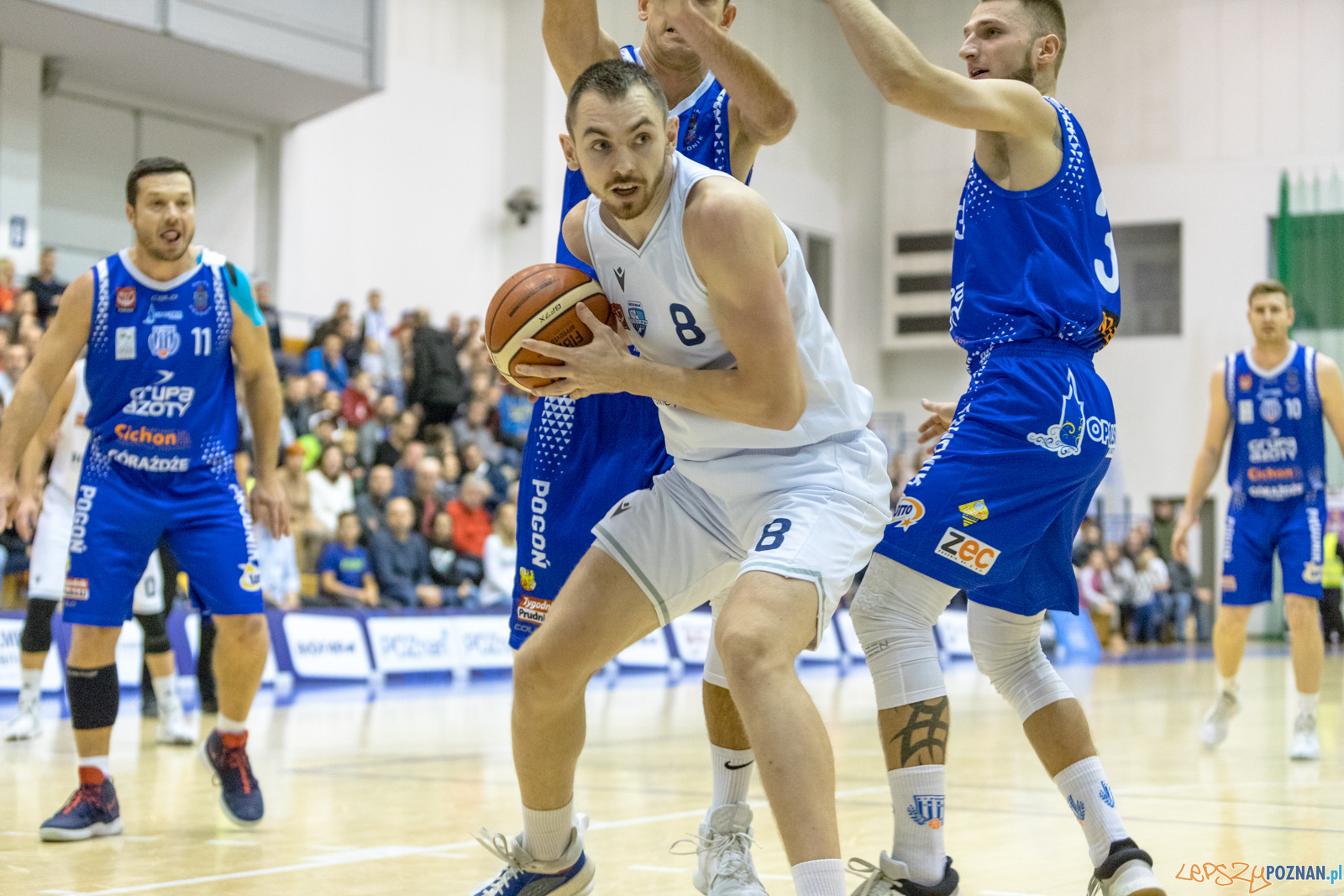 Biofarm Basket Poznań - Pogoń Prudnik Foto: lepszyPOZNAN.pl/Piotr Rychter Biofarm Basket Poznań - Pogoń Prudnik Foto: lepszyPOZNAN.pl/Piotr Rychter