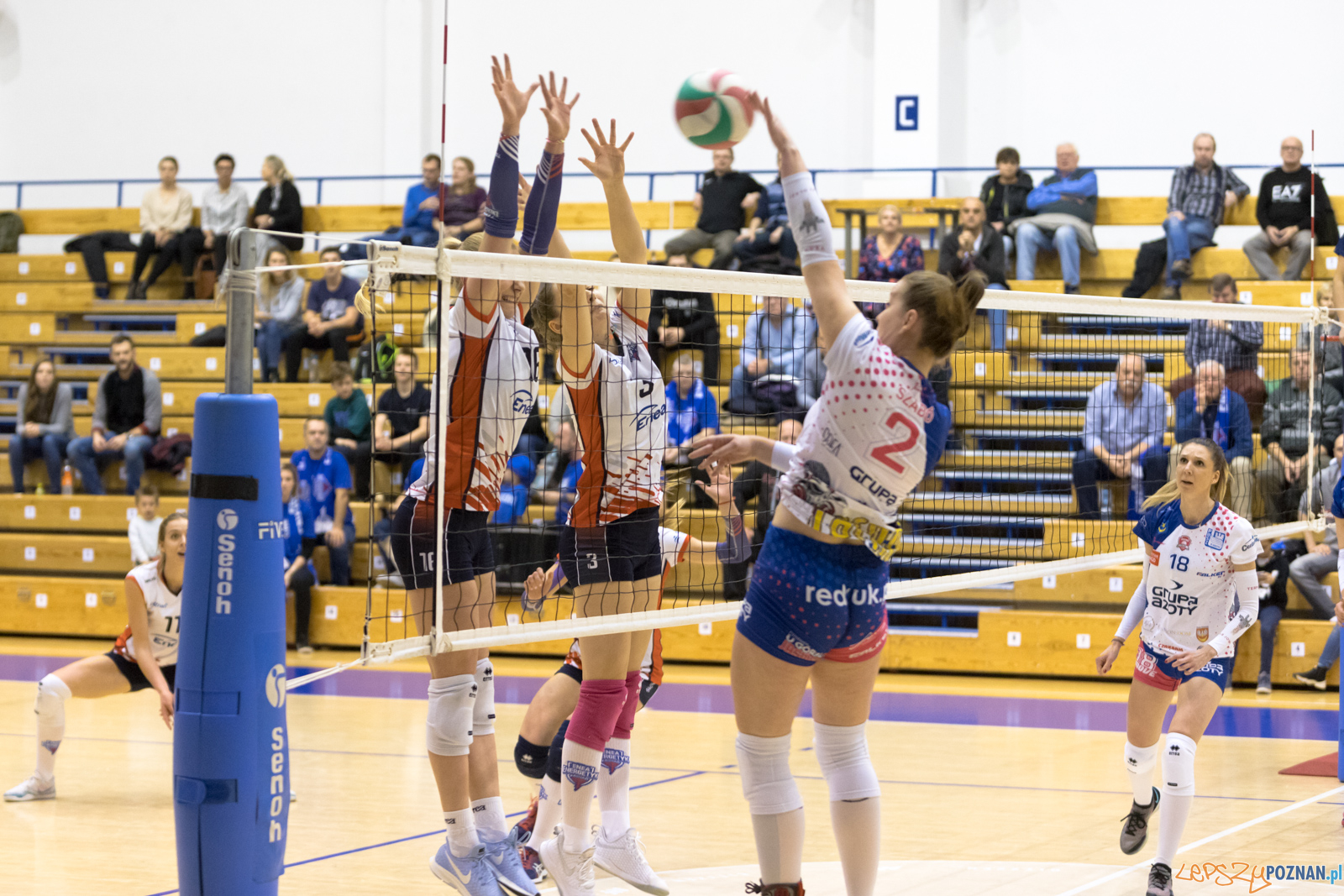 Betlejem Poznańskie Foto: lepszyPOZNAN.pl/Piotr Rychter Betlejem Poznańskie Foto: lepszyPOZNAN.pl/Piotr Rychter