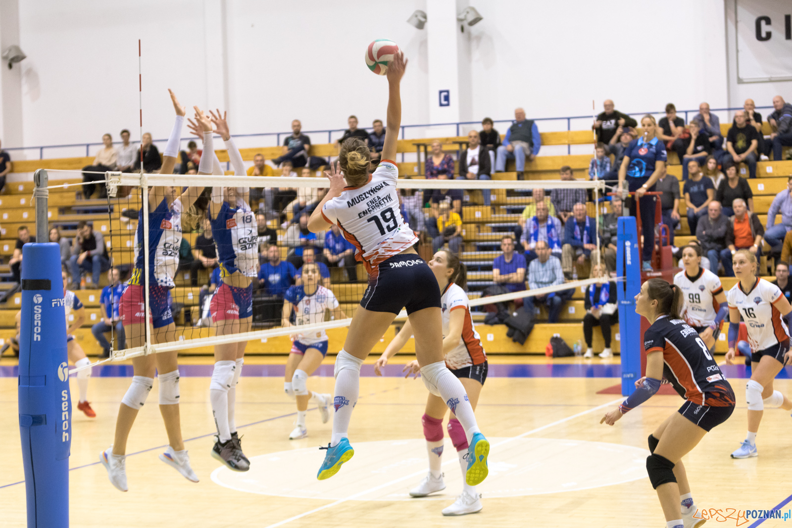 Betlejem Poznańskie Foto: lepszyPOZNAN.pl/Piotr Rychter Betlejem Poznańskie Foto: lepszyPOZNAN.pl/Piotr Rychter