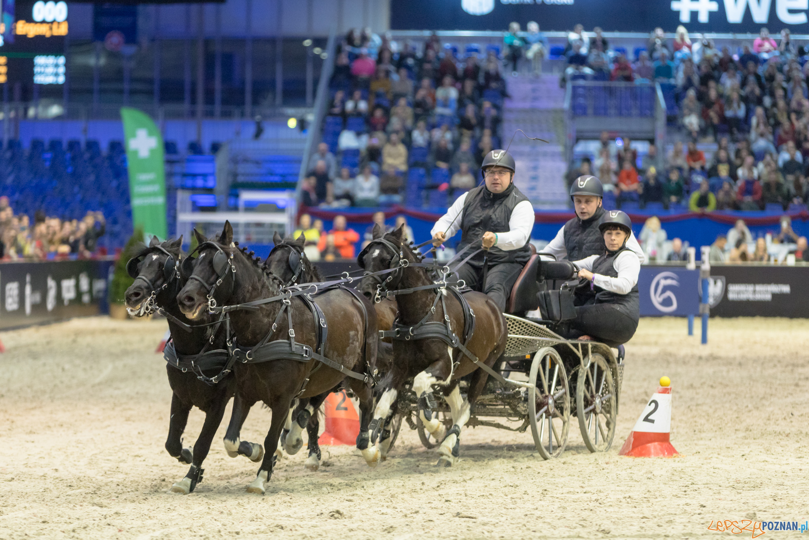 Cavaliada - Halowy Puchar Polski w Powożeniu Zaprzęgami Cztero Foto: lepszyPOZNAN.pl/Piotr Rychter Cavaliada - Halowy Puchar Polski w Powożeniu Zaprzęgami Cztero Foto: lepszyPOZNAN.pl/Piotr Rychter
