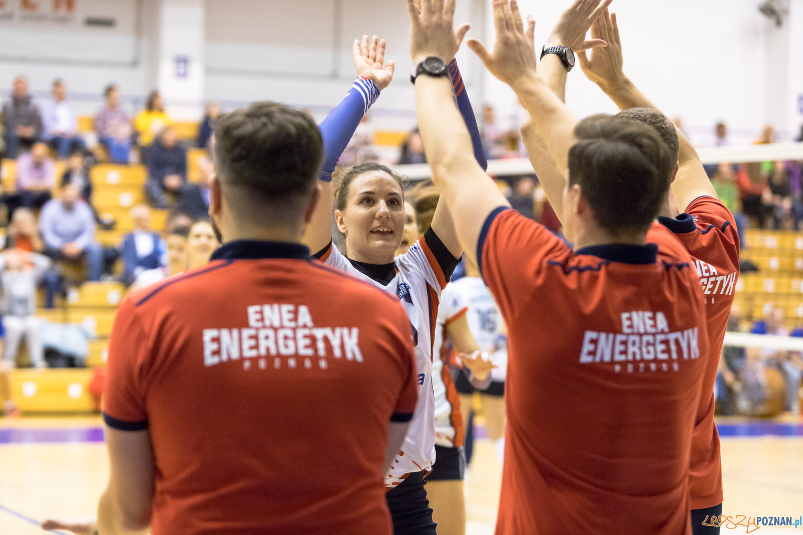 Betlejem Poznańskie Foto: lepszyPOZNAN.pl/Piotr Rychter Betlejem Poznańskie Foto: lepszyPOZNAN.pl/Piotr Rychter