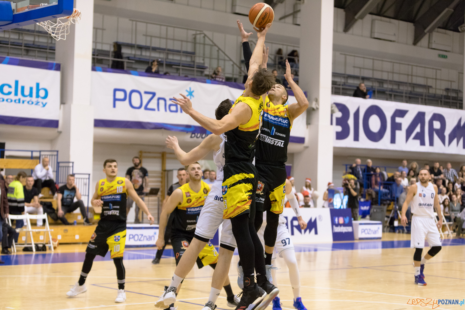 Biofarm Basket Poznań - Rawlplug Sokół Łańcut Foto: lepszyPOZNAN.pl/Piotr Rychter Biofarm Basket Poznań - Rawlplug Sokół Łańcut Foto: lepszyPOZNAN.pl/Piotr Rychter