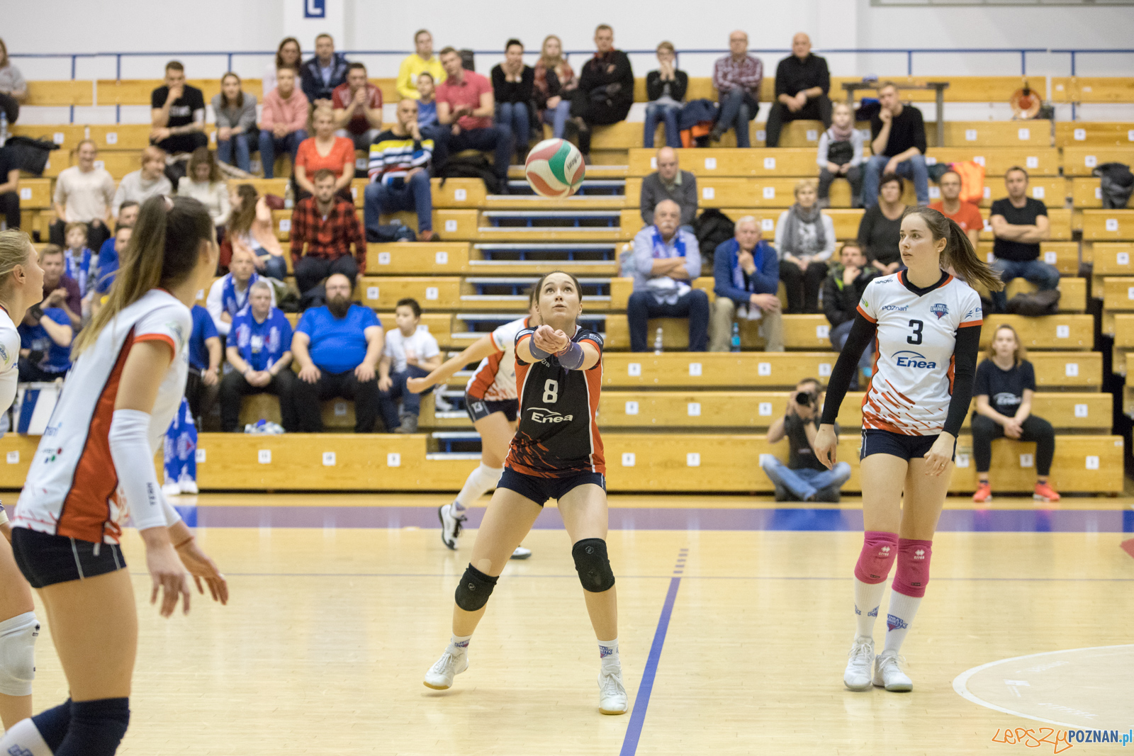 Enea Energetyk Poznań - Karpaty Krosno Foto: lepszyPOZNAN.pl/Piotr Rychter Enea Energetyk Poznań - Karpaty Krosno Foto: lepszyPOZNAN.pl/Piotr Rychter