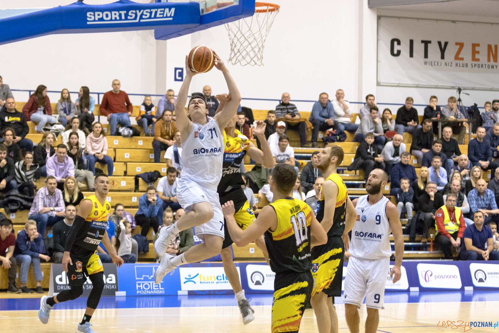 Biofarm Basket Poznań - Rawlplug Sokół Łańcut Foto: lepszyPOZNAN.pl/Piotr Rychter Biofarm Basket Poznań - Rawlplug Sokół Łańcut Foto: lepszyPOZNAN.pl/Piotr Rychter