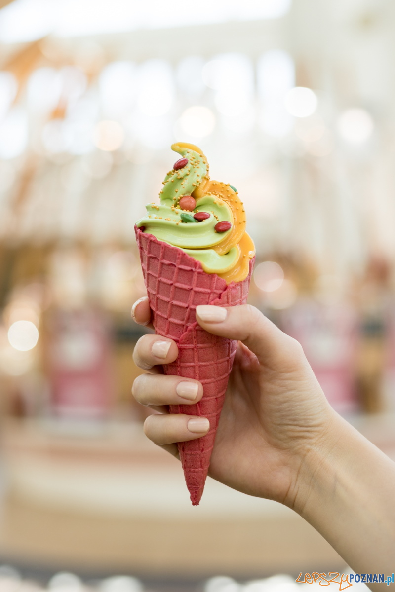 Lody - nowa lodziarnia Foto: goodonepr.pl / materiały prasowe Lody - nowa lodziarnia Foto: goodonepr.pl / materiały prasowe