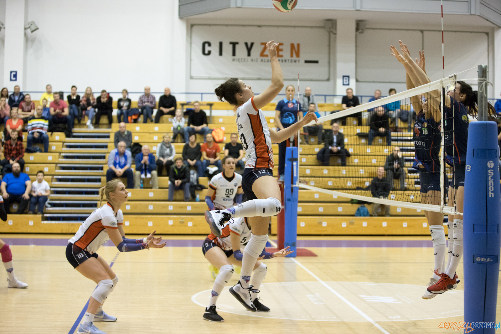 Enea Energetyk Poznań - Karpaty Krosno Foto: lepszyPOZNAN.pl/Piotr Rychter Enea Energetyk Poznań - Karpaty Krosno Foto: lepszyPOZNAN.pl/Piotr Rychter