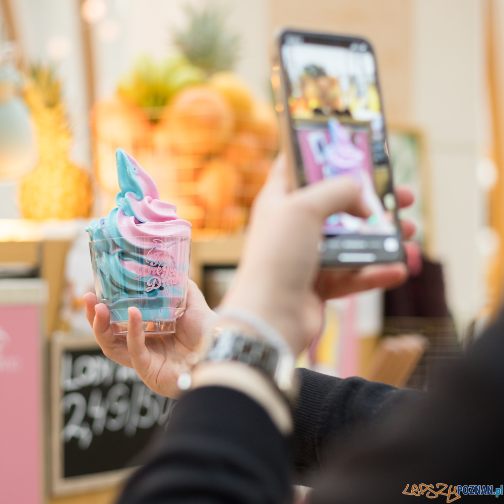 Lody - nowa lodziarnia Foto: goodonepr.pl / materiały prasowe Lody - nowa lodziarnia Foto: goodonepr.pl / materiały prasowe