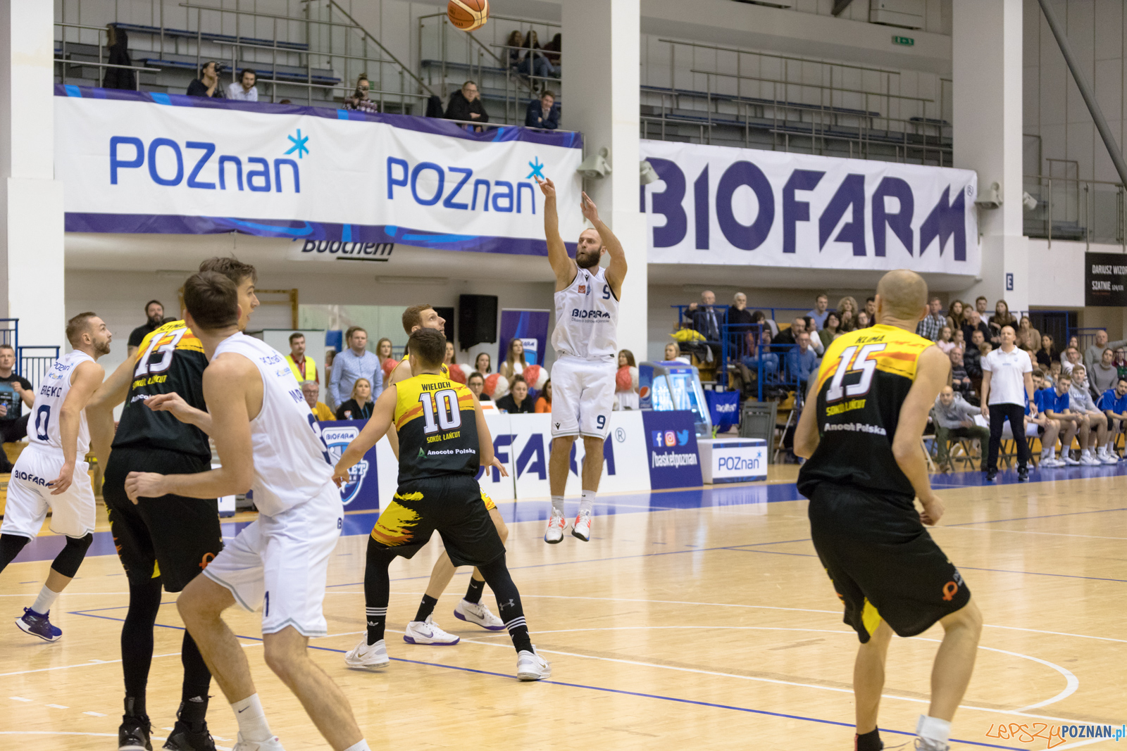 Biofarm Basket Poznań - Rawlplug Sokół Łańcut Foto: lepszyPOZNAN.pl/Piotr Rychter Biofarm Basket Poznań - Rawlplug Sokół Łańcut Foto: lepszyPOZNAN.pl/Piotr Rychter