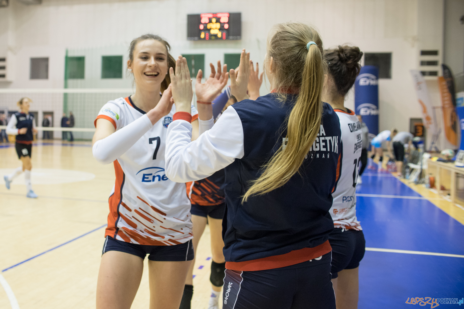 Enea Energetyk Poznań - Karpaty Krosno Foto: lepszyPOZNAN.pl/Piotr Rychter Enea Energetyk Poznań - Karpaty Krosno Foto: lepszyPOZNAN.pl/Piotr Rychter