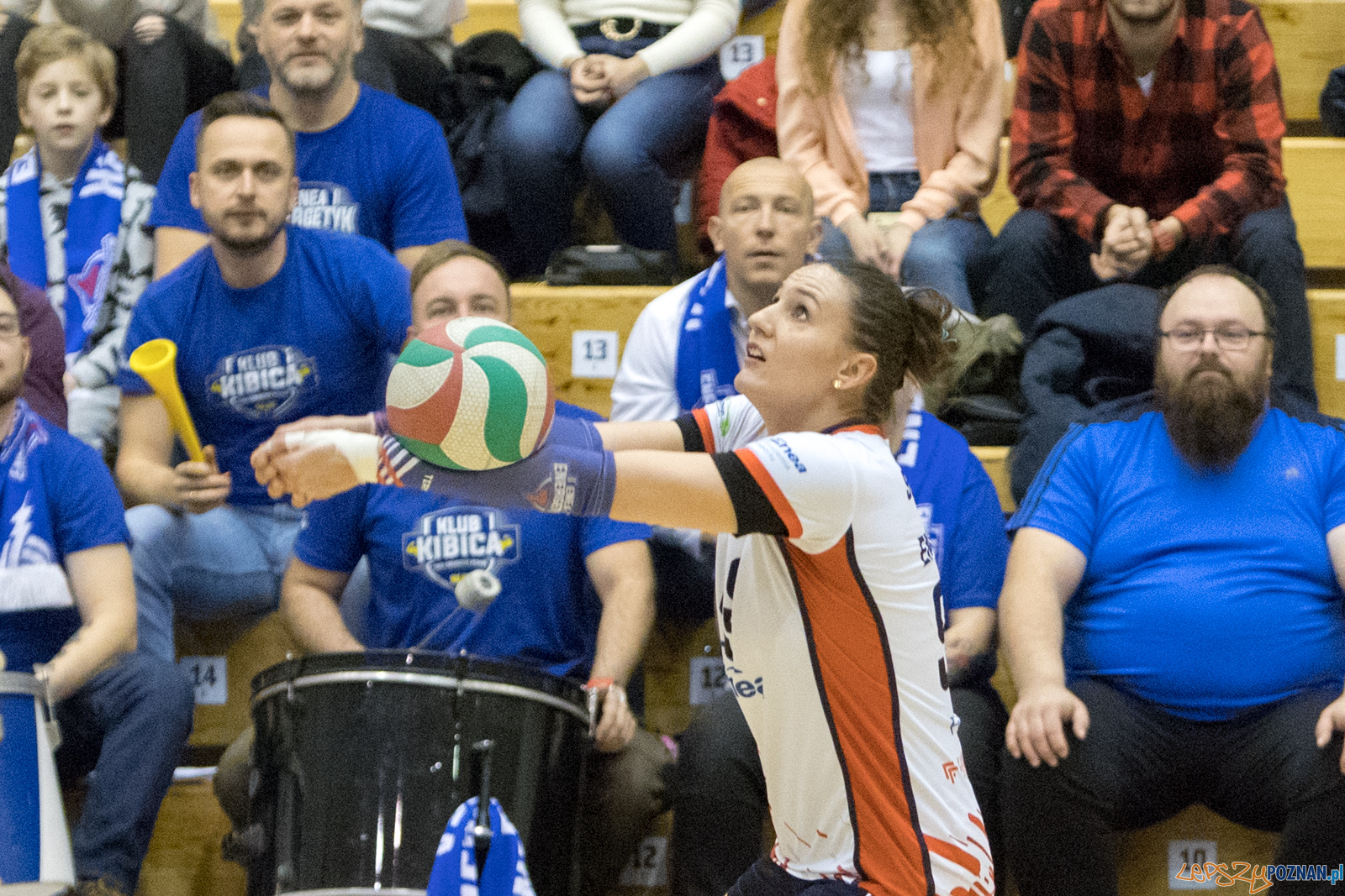 Enea Energetyk Poznań - Karpaty Krosno Foto: lepszyPOZNAN.pl/Piotr Rychter Enea Energetyk Poznań - Karpaty Krosno Foto: lepszyPOZNAN.pl/Piotr Rychter