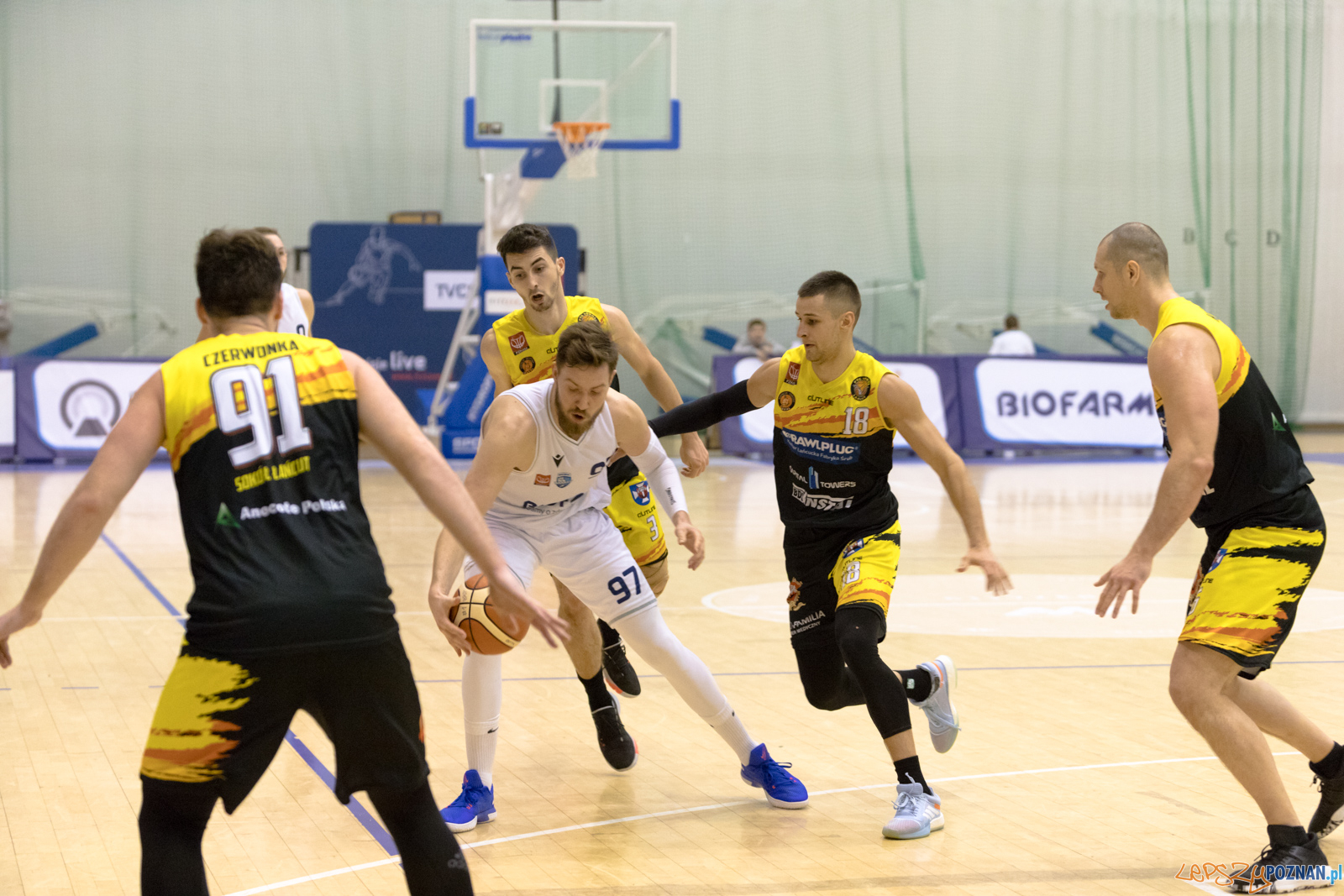 Biofarm Basket Poznań - Rawlplug Sokół Łańcut Foto: lepszyPOZNAN.pl/Piotr Rychter Biofarm Basket Poznań - Rawlplug Sokół Łańcut Foto: lepszyPOZNAN.pl/Piotr Rychter