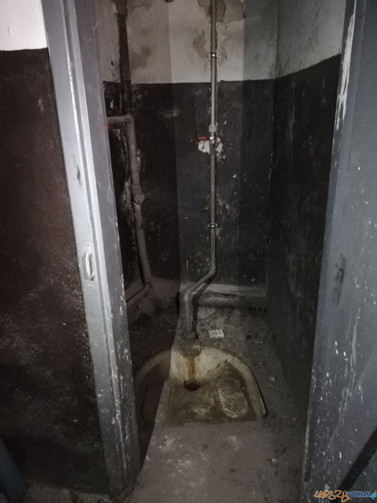 Schron Chwaliszewo Foto: Tomasz Dworek Schron Chwaliszewo Foto: Tomasz Dworek