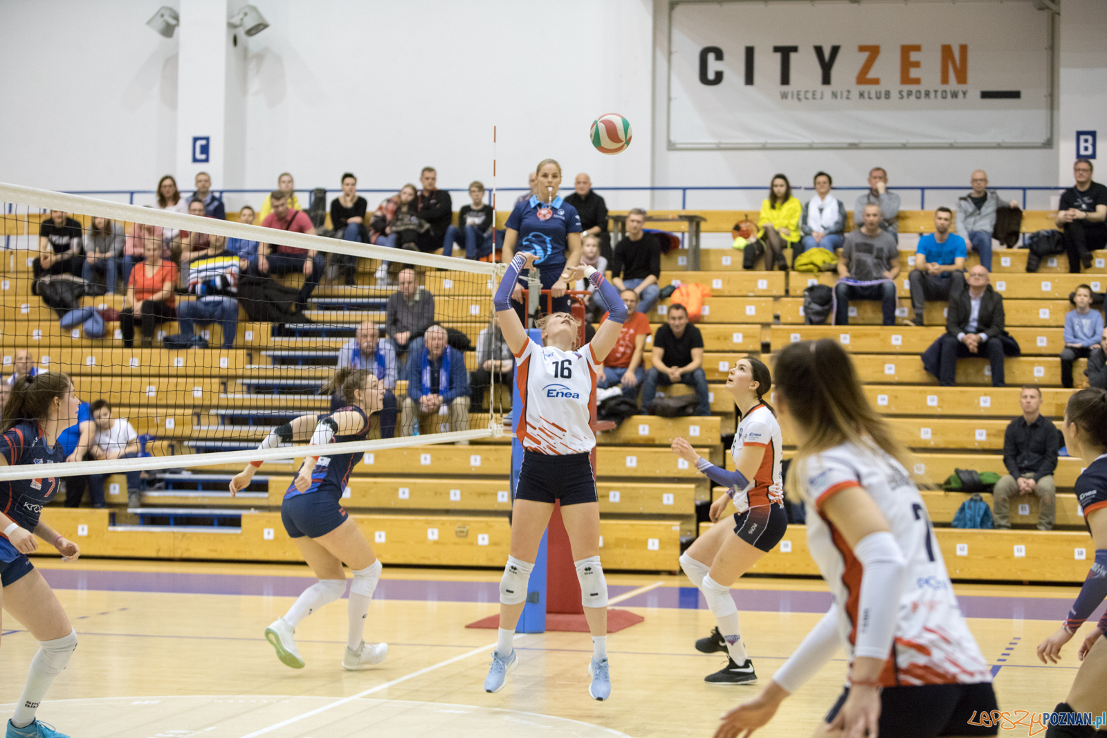 Enea Energetyk Poznań - Karpaty Krosno Foto: lepszyPOZNAN.pl/Piotr Rychter Enea Energetyk Poznań - Karpaty Krosno Foto: lepszyPOZNAN.pl/Piotr Rychter