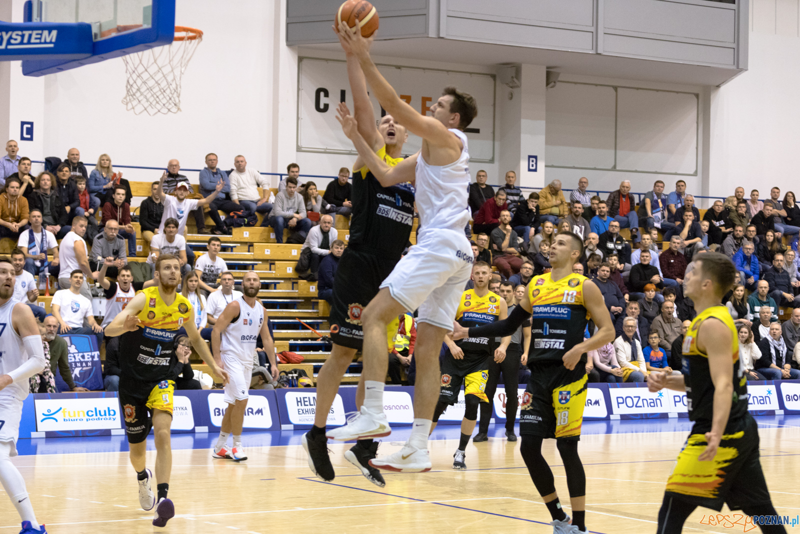 Biofarm Basket Poznań - Rawlplug Sokół Łańcut Foto: lepszyPOZNAN.pl/Piotr Rychter Biofarm Basket Poznań - Rawlplug Sokół Łańcut Foto: lepszyPOZNAN.pl/Piotr Rychter