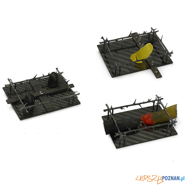 Andrzej Boss_110519.1 110519.2 110519.3 Foto: Andrzej Boss_110519.1 110519.2 110519.3 Foto: