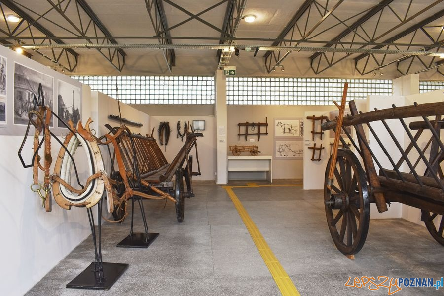 Muzeum Rolnictwa w Szreniawie (3) Foto: materiały prasowe muzeum Muzeum Rolnictwa w Szreniawie (3) Foto: materiały prasowe muzeum